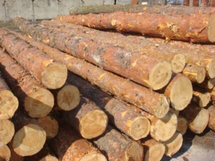 Spruce Round Logs (Picea Abies)